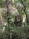 1420 l’abbaye derrière les arbres (c) Nicole Despinoy
375*500 pixels (71049 octets)(i3575)
