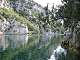  Une rive du Verdon.  (c) Christophe ANTOINE
400*300 pixels (24245 octets)(i1232)