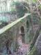 Vieux pont près de la Chartreuse(c) despinoy
392*523 pixels (58717 octets)(i4250)