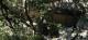 La Baume Plate cachée par les arbres(c) Christophe Antoine
1320*606 pixels (155109 octets)(i4821)