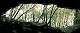Sortie de la grotte de la Grande Baume (c) Christophe ANTOINE
330*139 pixels (10304 octets)(i65)