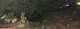  Vue de l'intérieur de la baume de Sourne. (c) Christophe ANTOINE
700*260 pixels (14807 octets)(i1705)