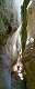 partie étroite de la gorges (c) Christophe ANTOINE
241*600 pixels (33651 octets)(i393)