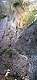 petite voie d'escalade (une corde est nécessaire) Grotte au bout de la voie.(c) Christophe ANTOINE
236*500 pixels (42332 octets)(i395)