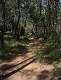  Une belle forêt bien ombragée. (c) Christophe ANTOINE
420*550 pixels (46389 octets)(i2619)