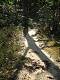 1695: chemin de sable blanc dans la forêt près du plan d’eau des Salettes (variante) (c) Nicole Despinoy
375*500 pixels (55769 octets)(i3702)