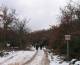 Sentier sous la neige en janvier 2009 au nord du pain de Munition (c) Christophe Antoine
550*447 pixels (59374 octets)(i4476)